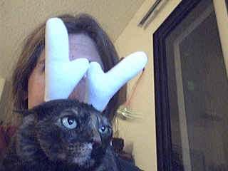 It's Cassie!  With antlers!