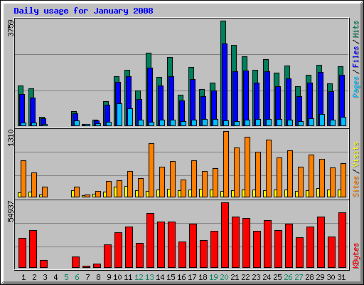 Daily usage for January 2008