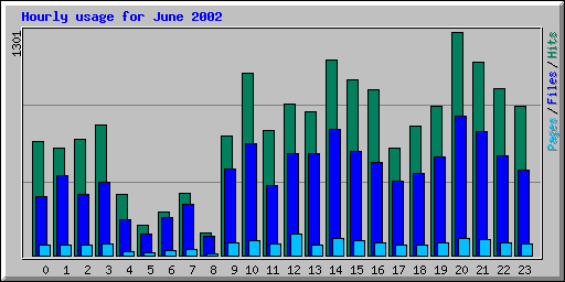 Hourly usage for June 2002