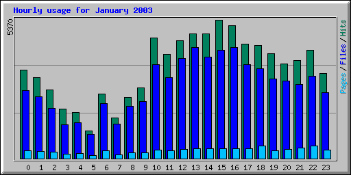 Hourly usage for January 2003