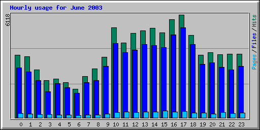 Hourly usage for June 2003