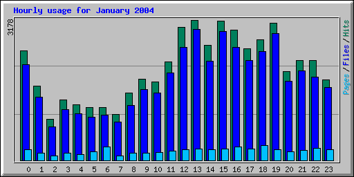 Hourly usage for January 2004