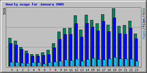 Hourly usage for January 2005