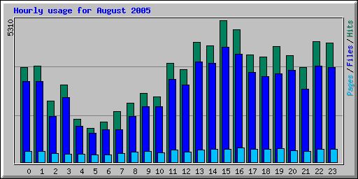 Hourly usage for August 2005