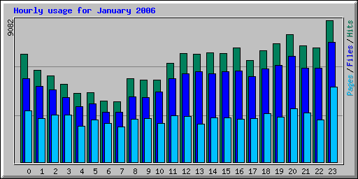 Hourly usage for January 2006