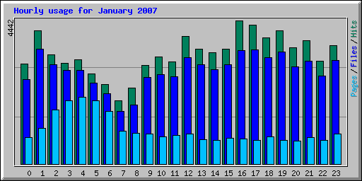 Hourly usage for January 2007