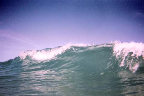 Paddling out - this is what I saw when I got past the shorebreak
